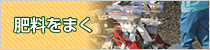 肥料をまく