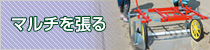 マルチを張る